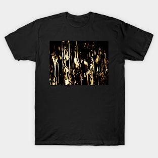 The Catacombs of Hell T-Shirt